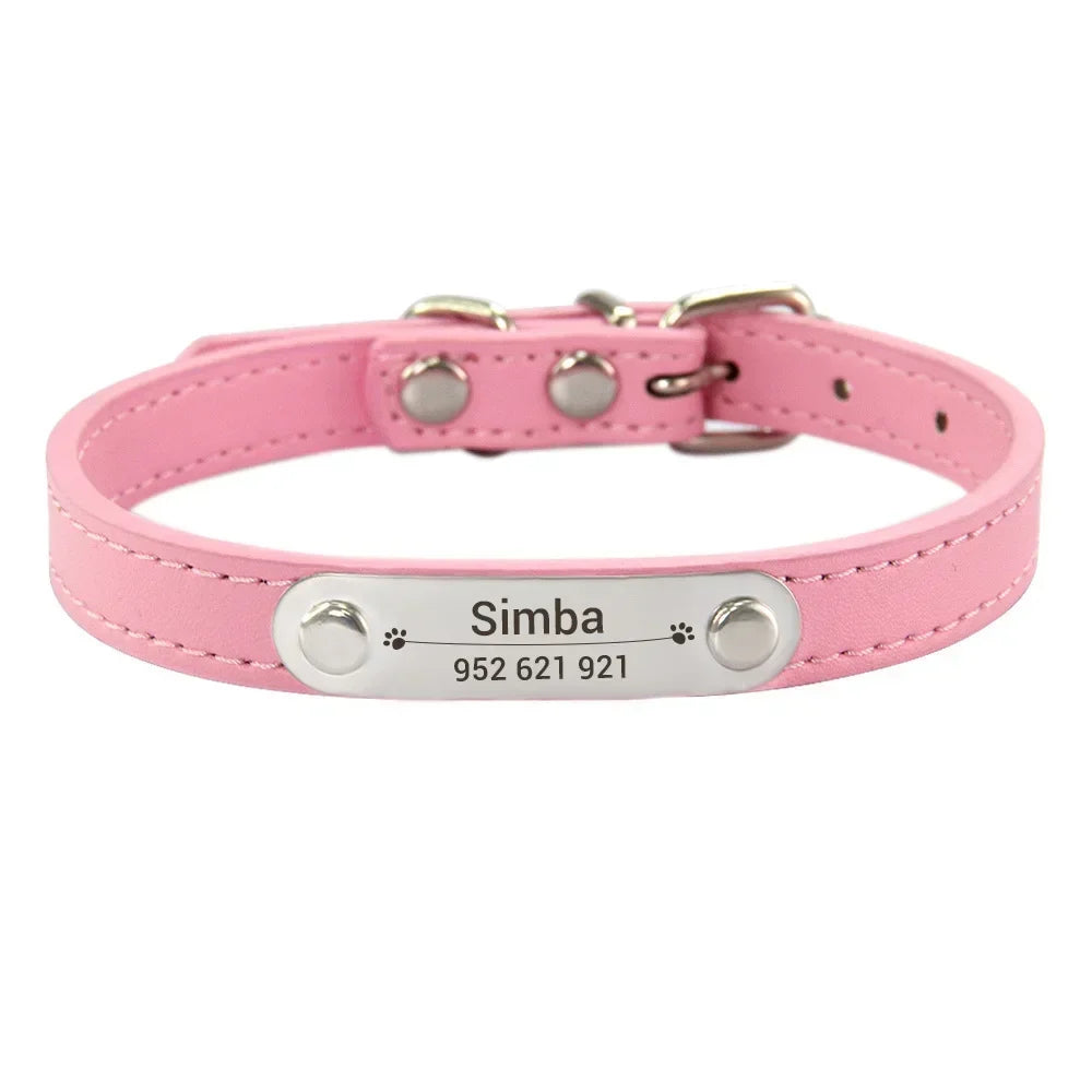 Collier pour Chien Personnalisé : À vous de choisir !