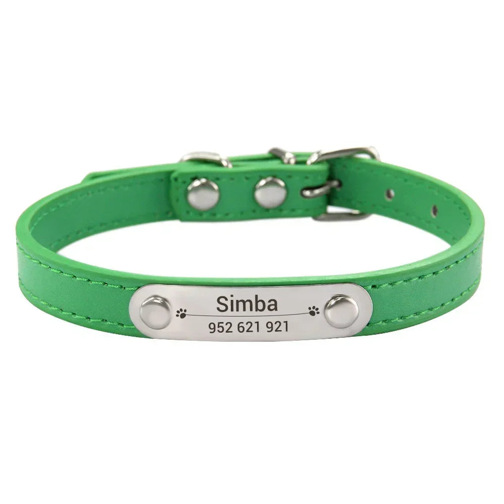 Collier pour Chien Personnalisé : À vous de choisir !