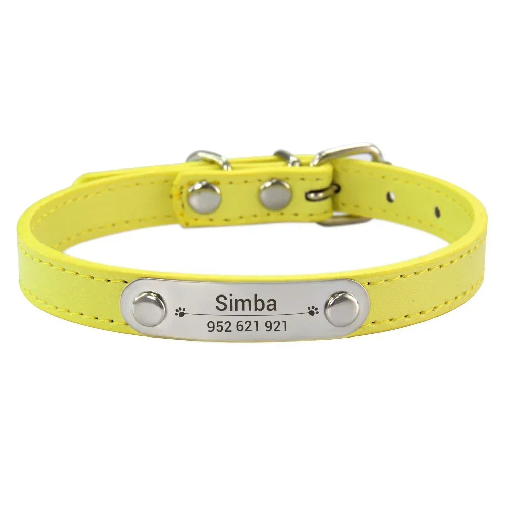 Collier pour Chien Personnalisé : À vous de choisir !