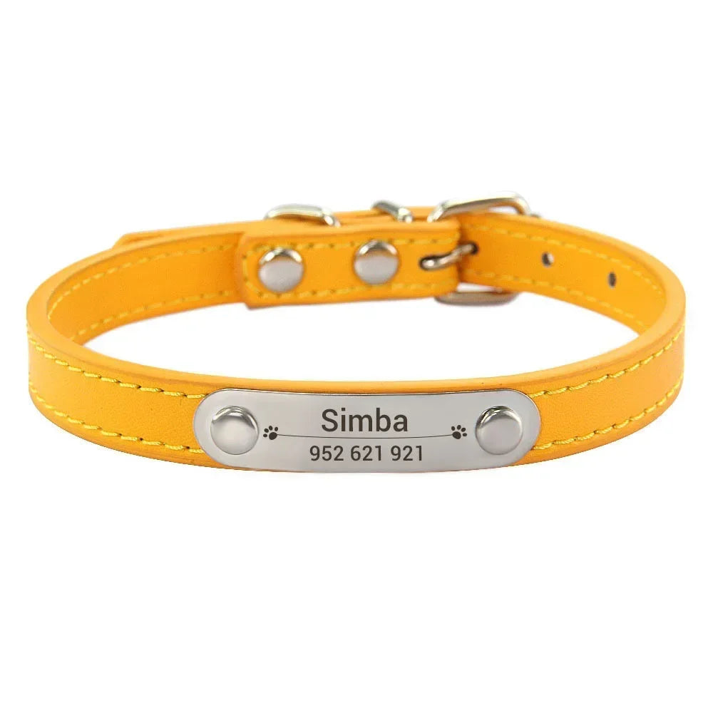 Collier pour Chien Personnalisé : À vous de choisir !