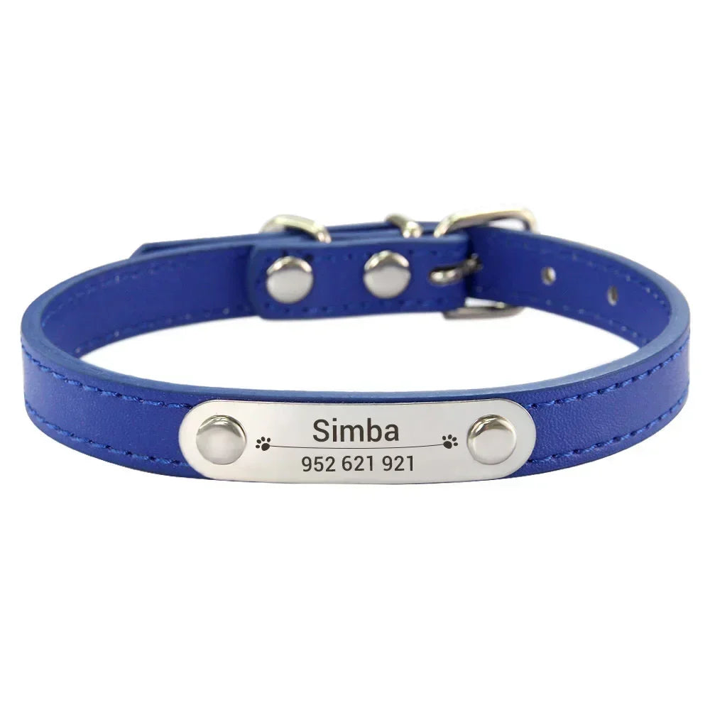 Collier pour Chien Personnalisé : À vous de choisir !