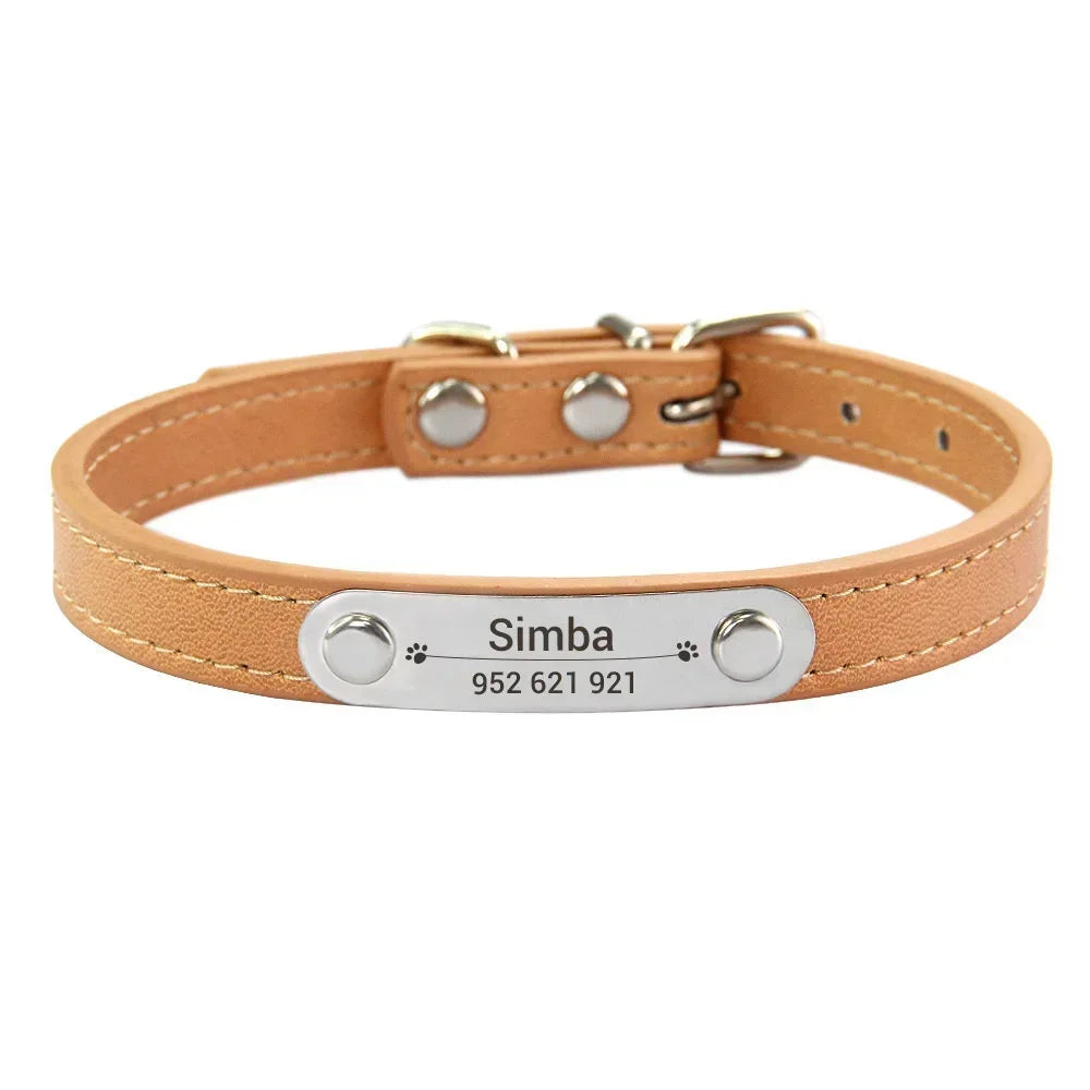 Collier pour Chien Personnalisé : À vous de choisir !