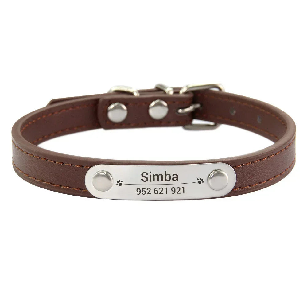Collier pour Chien Personnalisé : À vous de choisir !