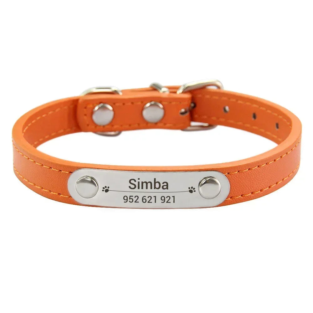 Collier pour Chien Personnalisé : À vous de choisir !
