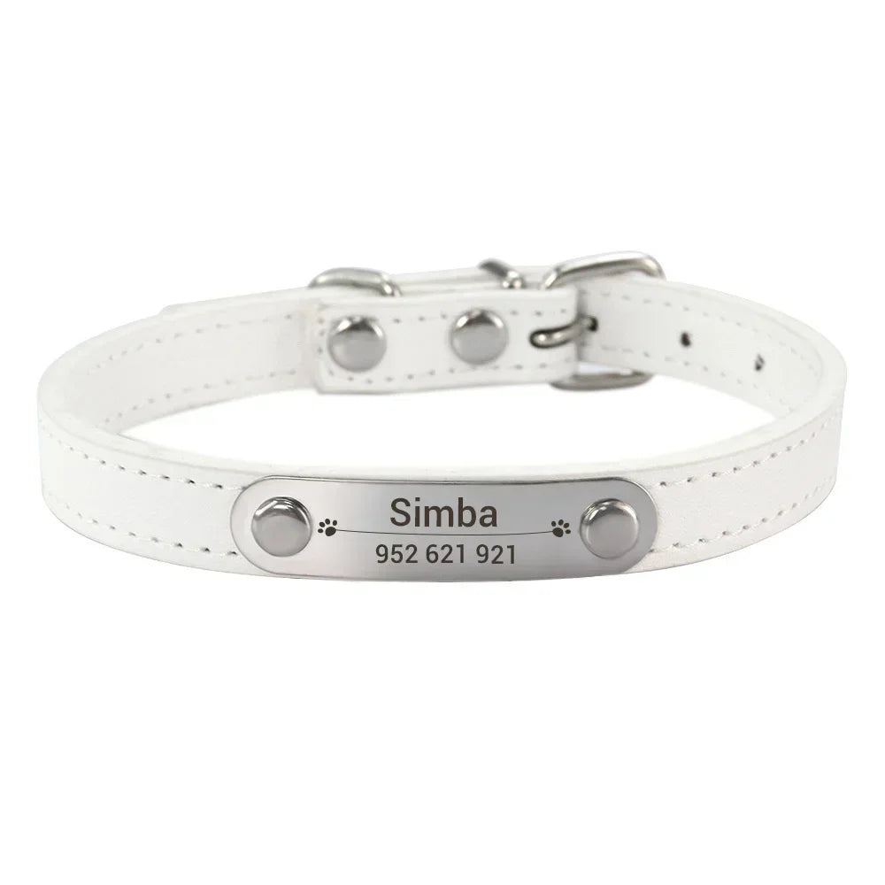 Collier pour Chien Personnalisé : À vous de choisir !