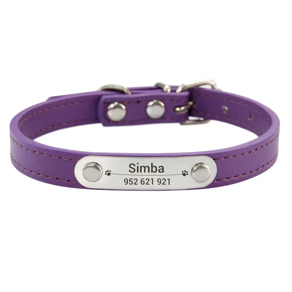 Collier pour Chien Personnalisé : À vous de choisir !