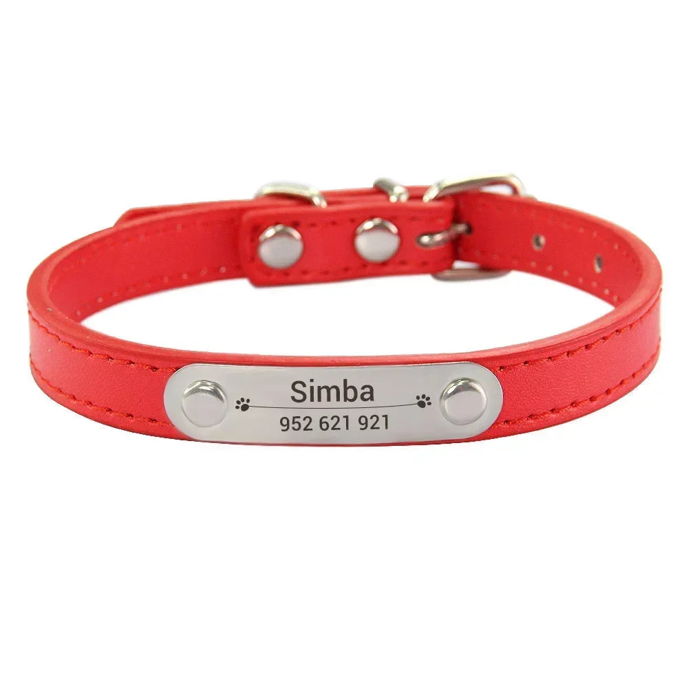 Collier pour Chien Personnalisé : À vous de choisir !