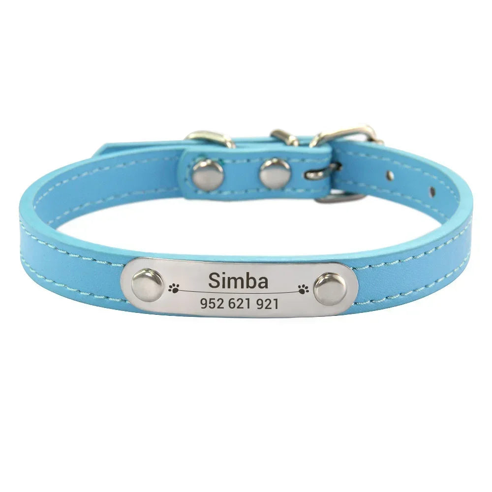 Collier pour Chien Personnalisé : À vous de choisir !